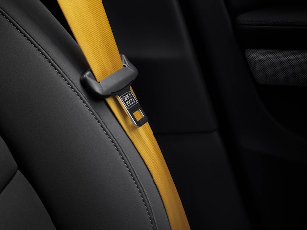 Details of golden seatbelt