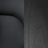 碳素黑高级环保材料内饰搭配黑梣木饰件 