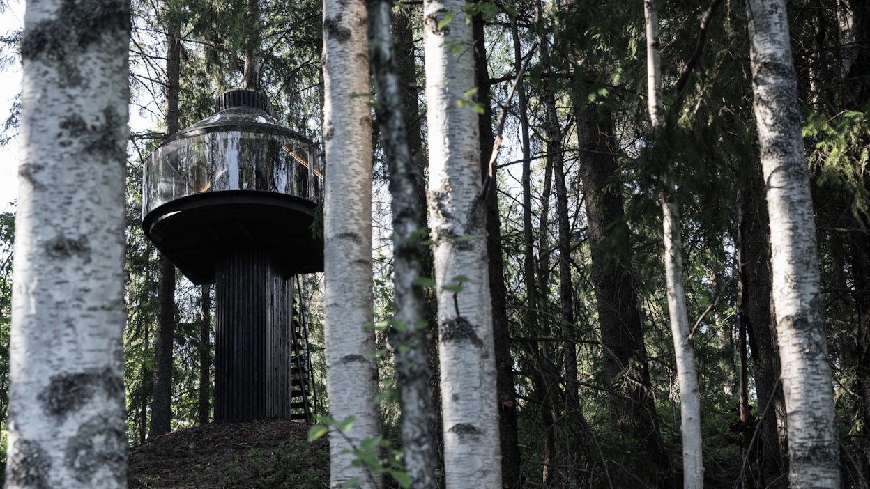 A treehouse in a forest.