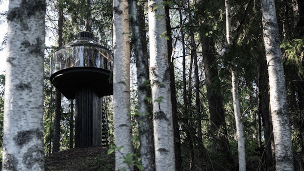 A treehouse in a forest.