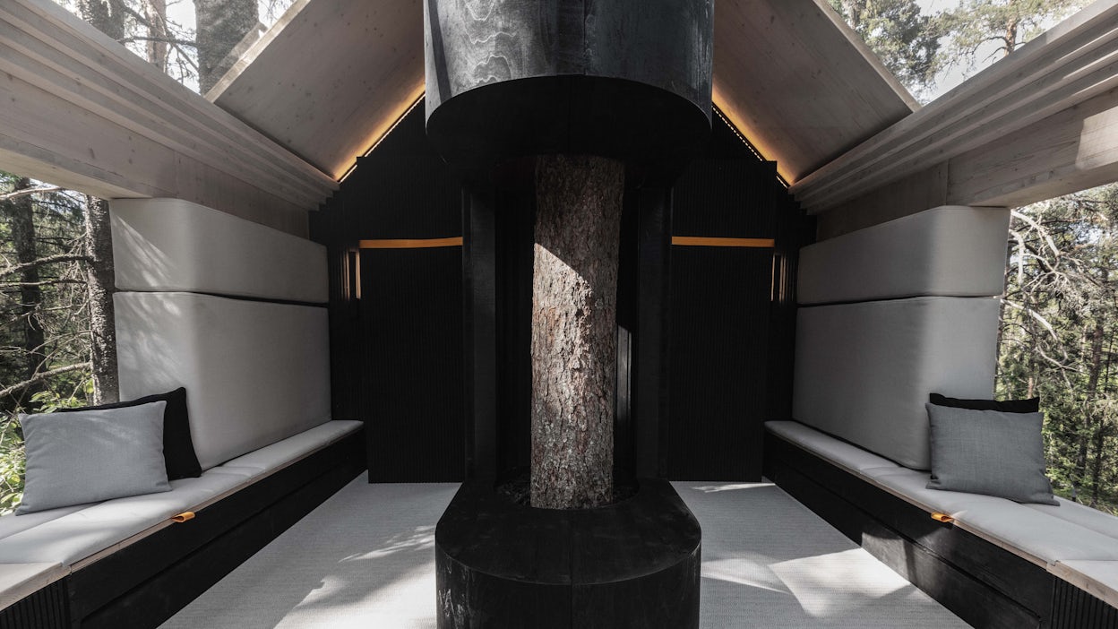 The interior of a treehouse, with bench seats and the exposed trunk in the centre.