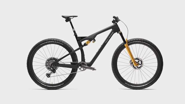 Black Allebike mountainbike with golden dampers