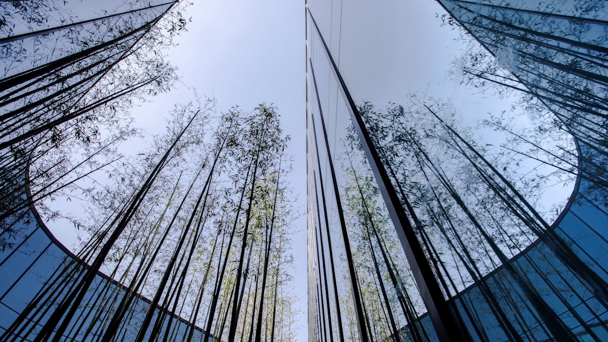 Worm's-eye view of building with mirror facade, reflecting tall green branches and blue sky.
