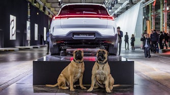 Two dogs sitting in front of a white Polestar 3 displayed in a showroom.