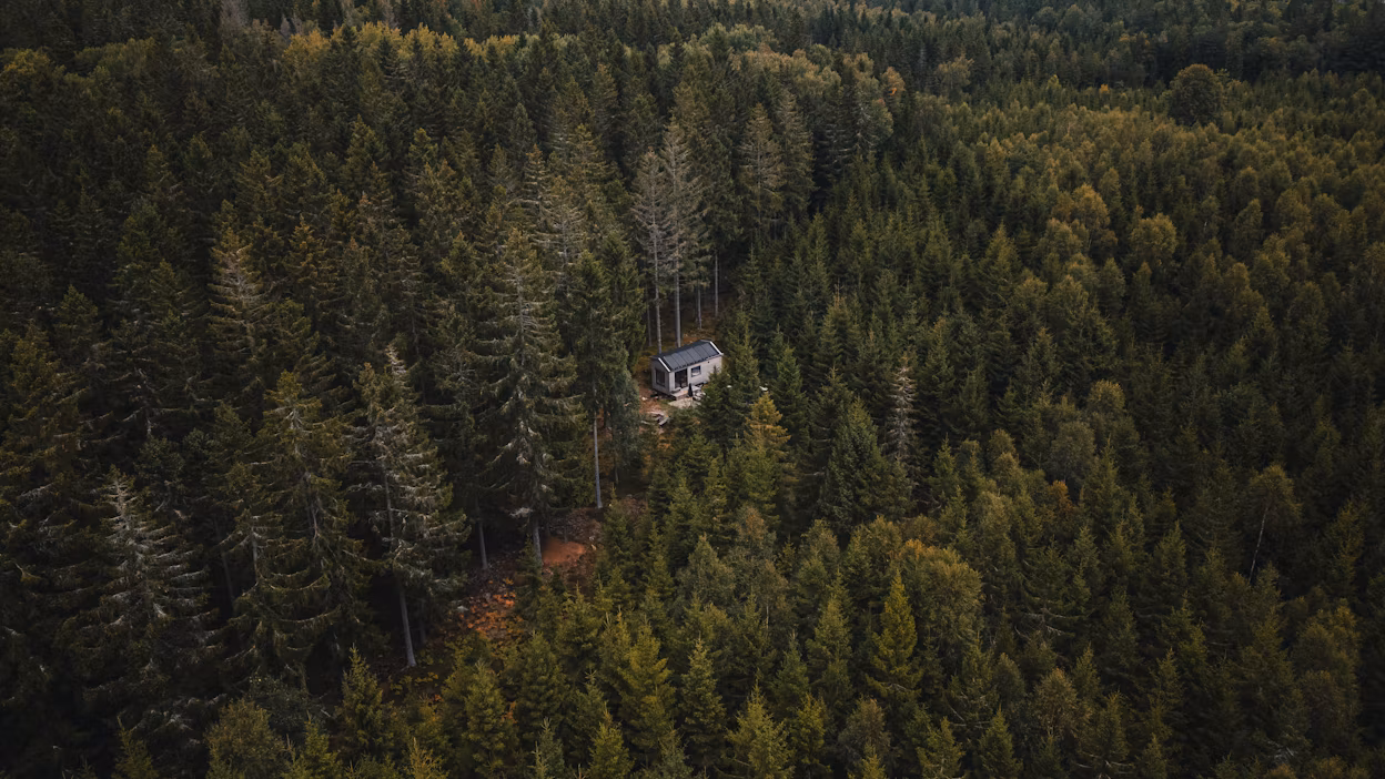 Cabin surrounded by a dense forest.
