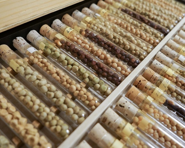 Test tubes filled with seeds