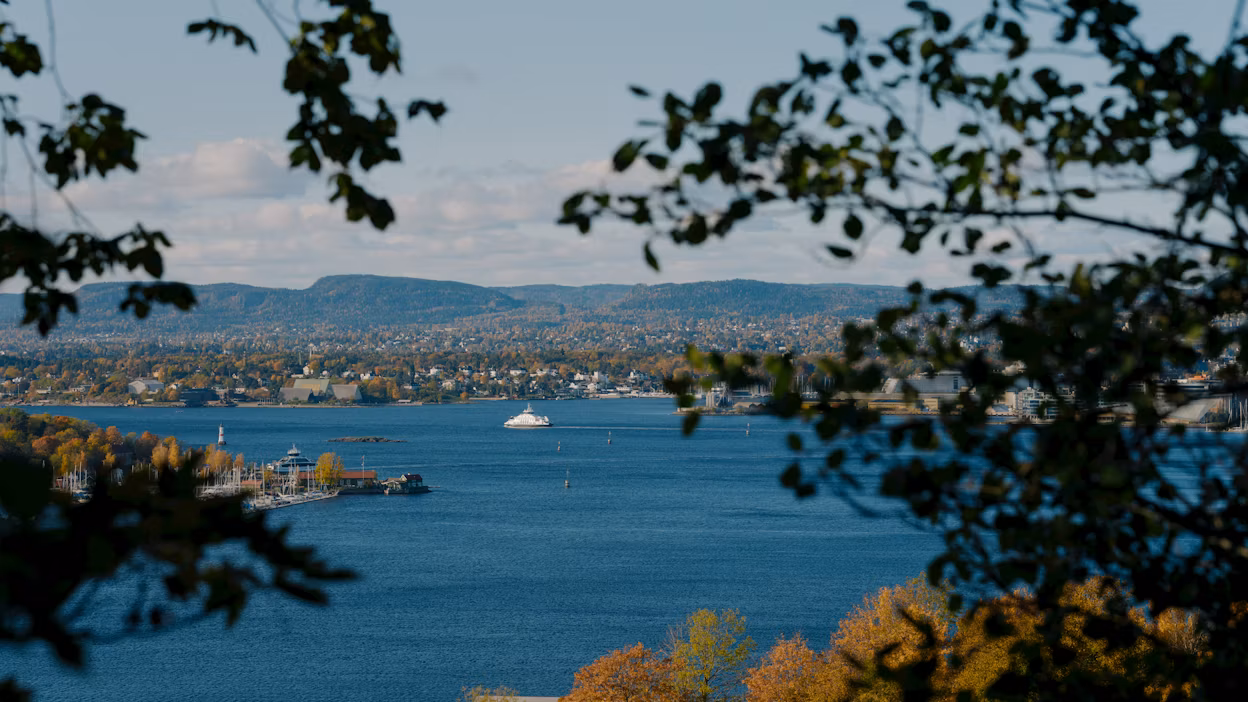 Oslo fjord from a distance.