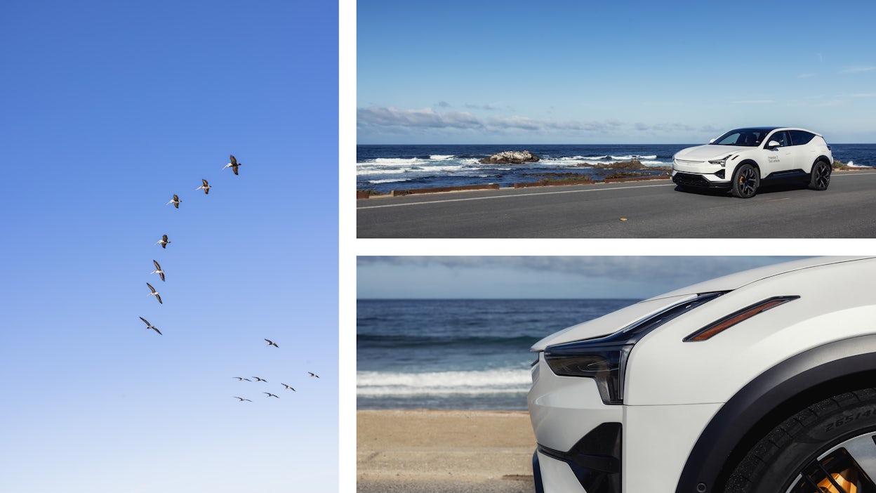 Collage of birds in the blue skies, a Polestar 3 side shot by the ocean and a close-up of the Polestar 3 front.