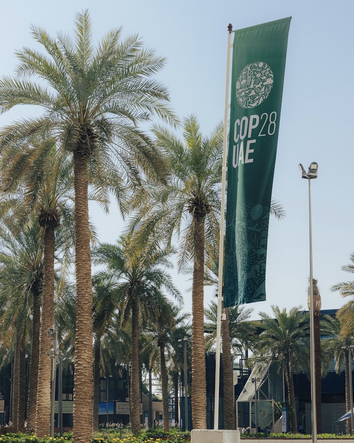 Palm tree and COP28 banner at venue