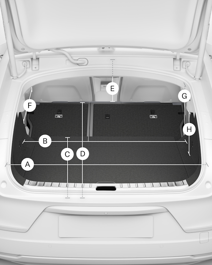 Letters and lines indicates different dimensions of the trunk.