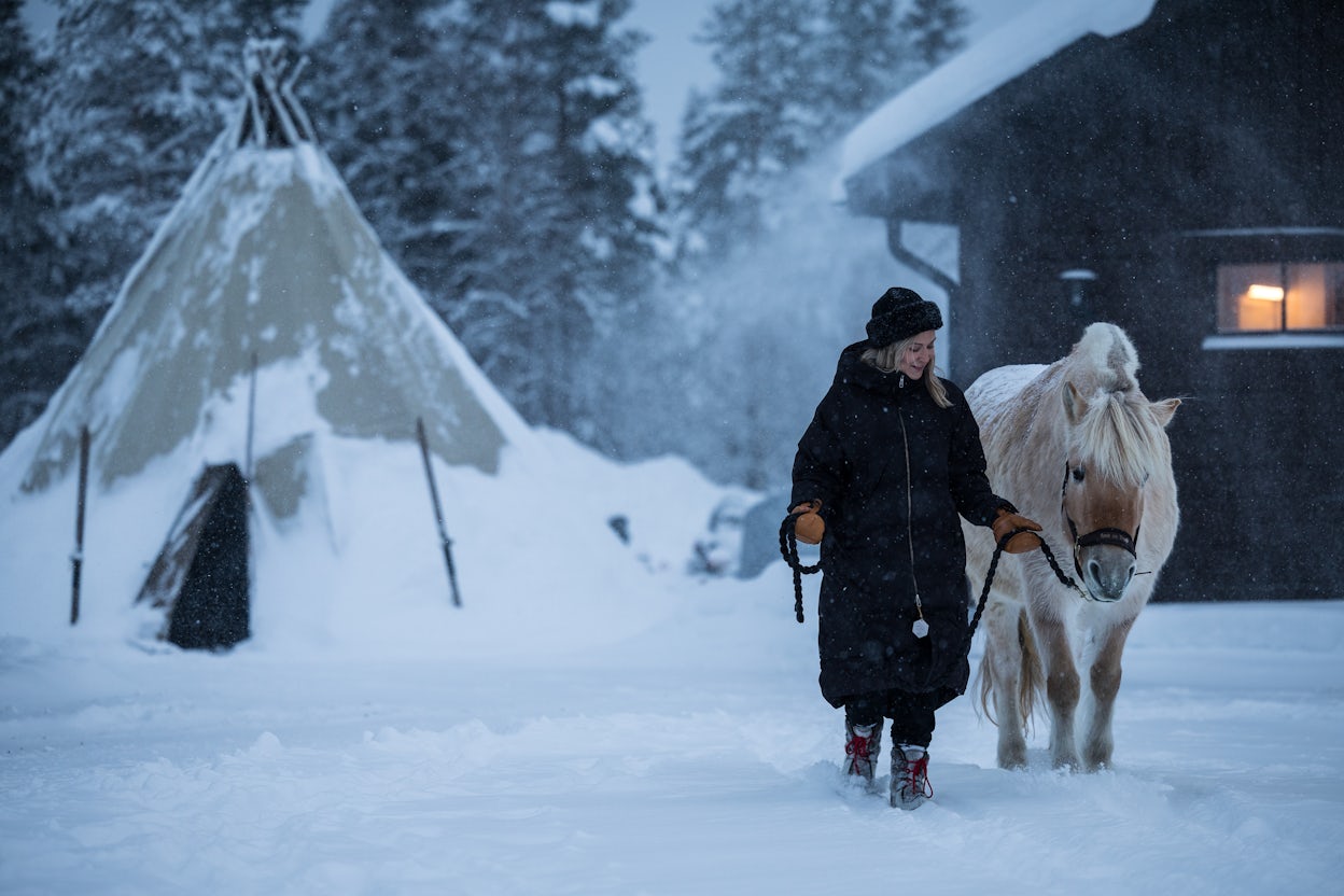 Tanja walking her Norwegian Fjord Horse