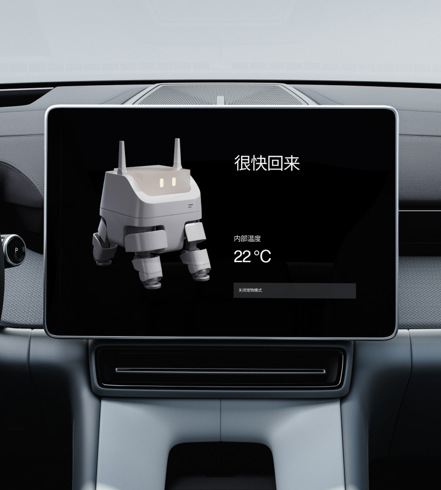 Center display mode - animal