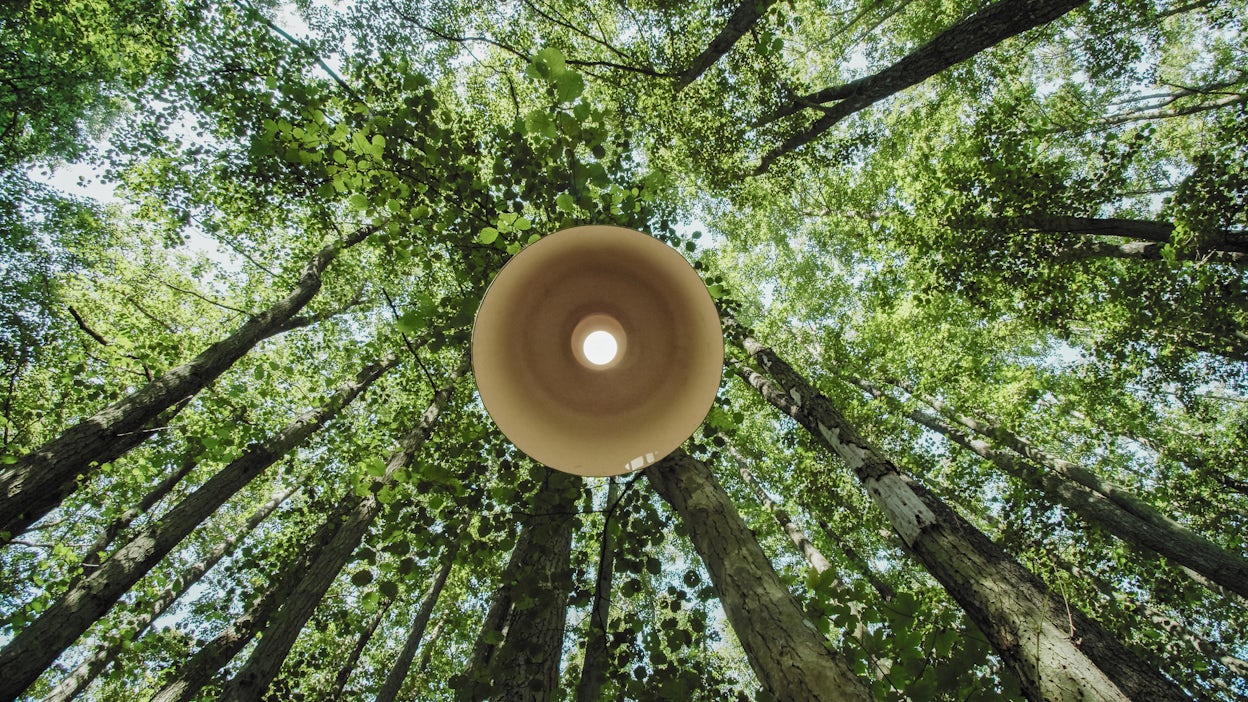 Hanging lamp in forest