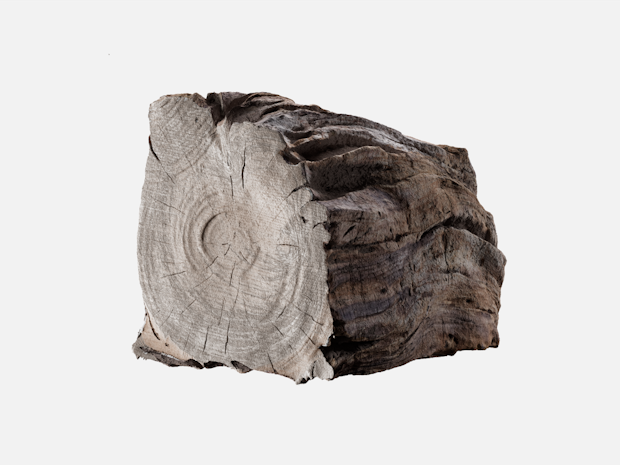 A piece of birch wood.