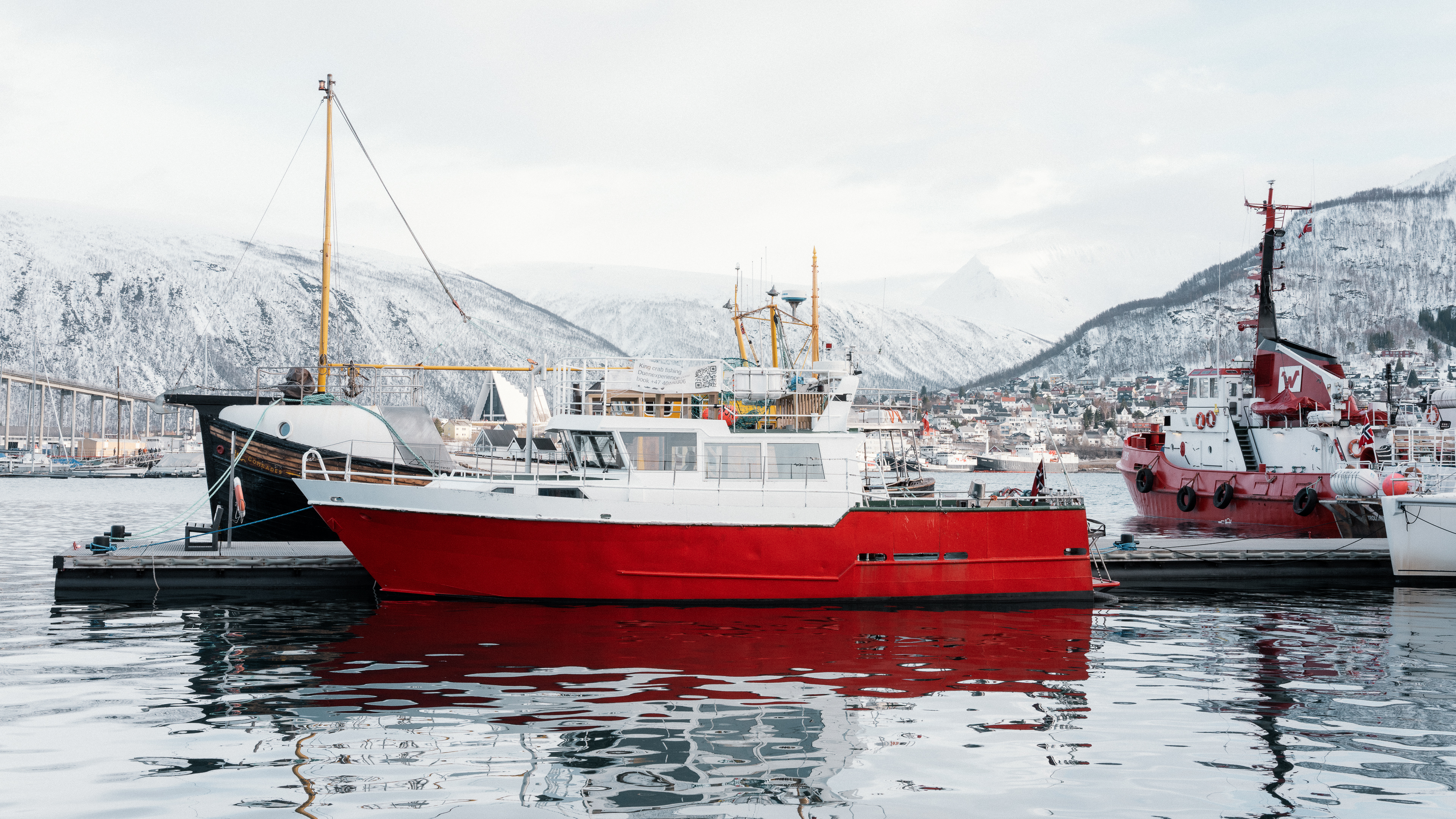 Harbour setting in daytime