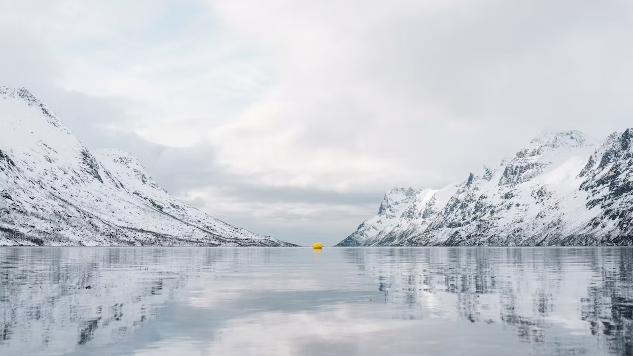 Norwegian fjord in daytime