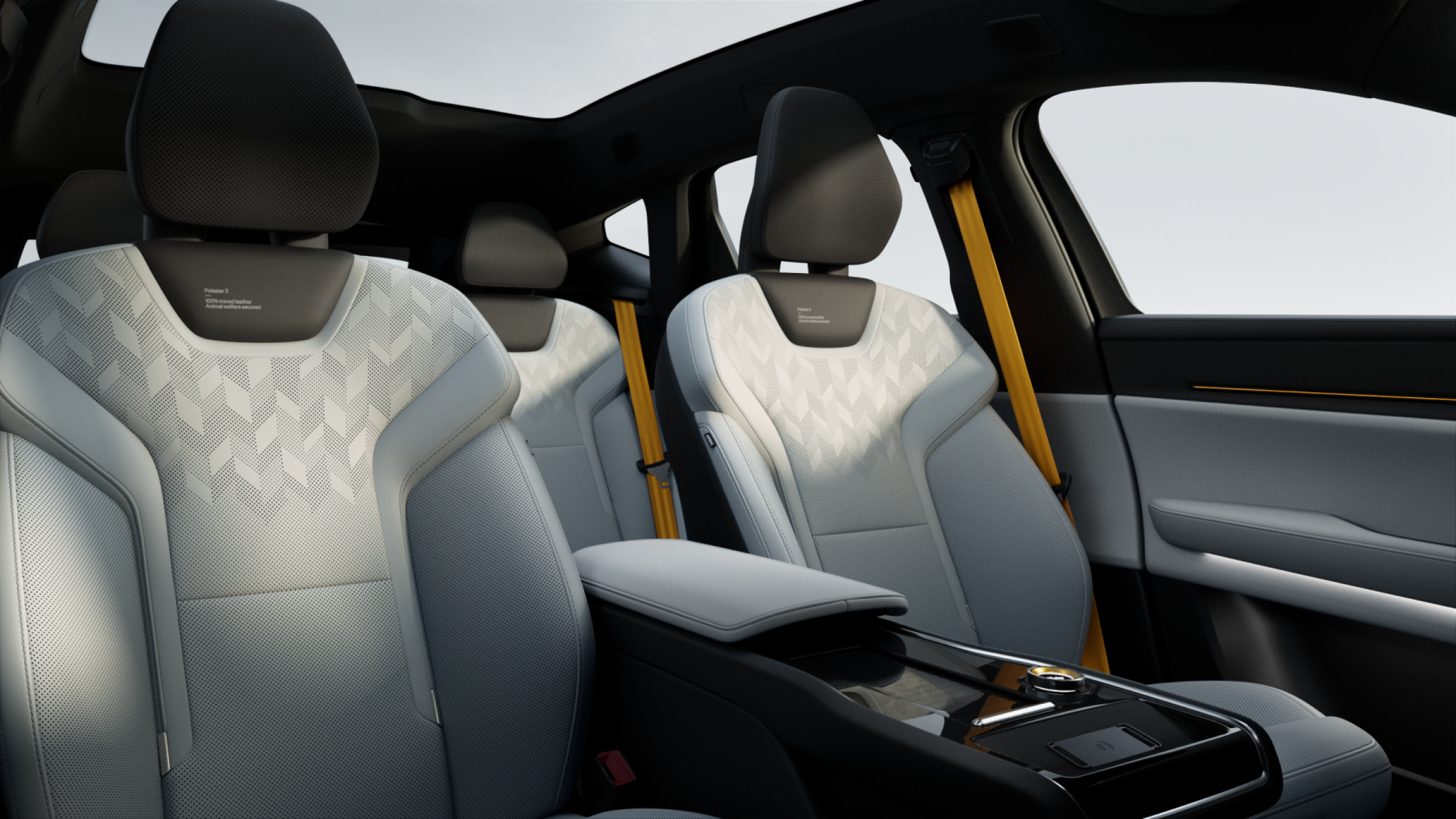 Zinc leather and Black ash deco theme