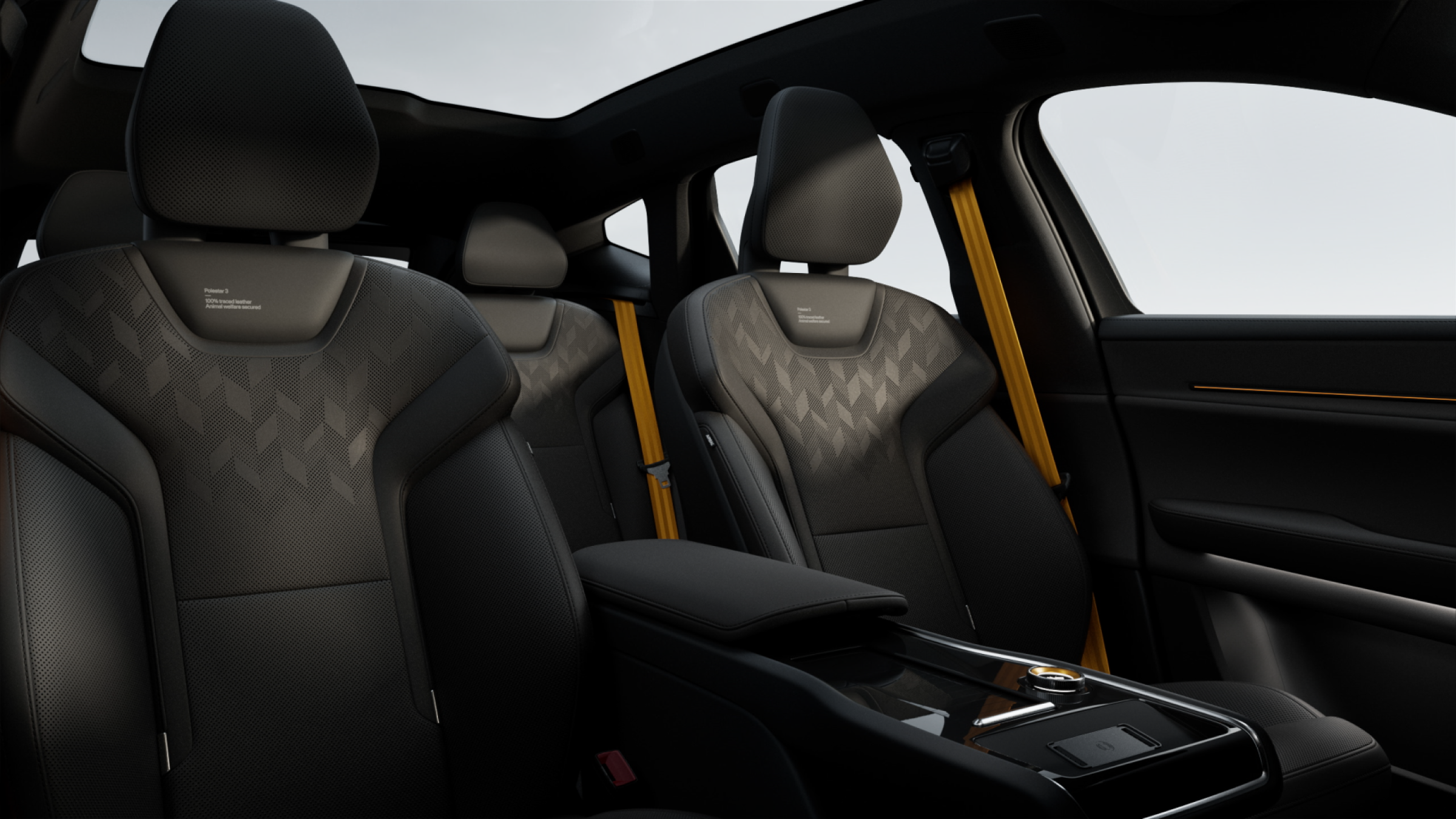 Charcoal leather and Black ash deco theme